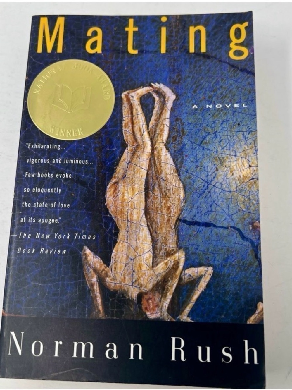 Mating by Norman Rush